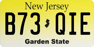 NJ license plate B73QIE