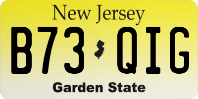 NJ license plate B73QIG