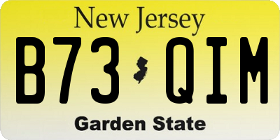 NJ license plate B73QIM