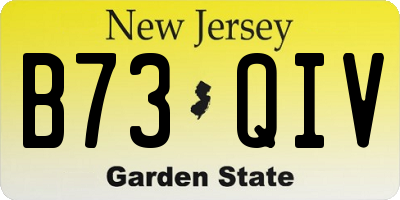 NJ license plate B73QIV