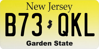 NJ license plate B73QKL