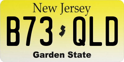 NJ license plate B73QLD
