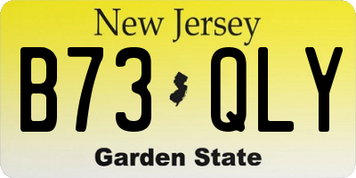 NJ license plate B73QLY