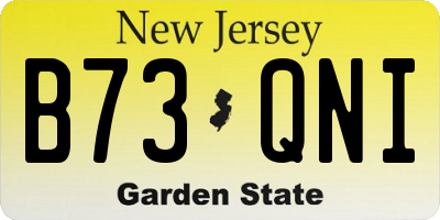 NJ license plate B73QNI
