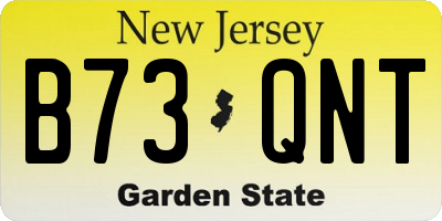 NJ license plate B73QNT