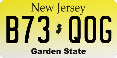 NJ license plate B73QOG