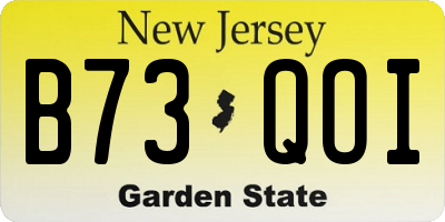 NJ license plate B73QOI