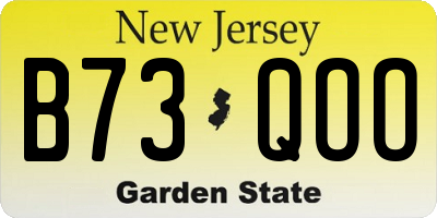 NJ license plate B73QOO