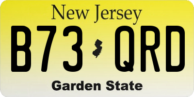 NJ license plate B73QRD
