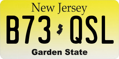 NJ license plate B73QSL