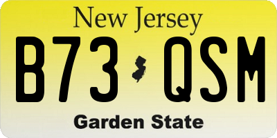 NJ license plate B73QSM