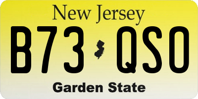 NJ license plate B73QSO
