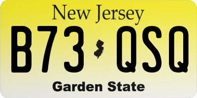 NJ license plate B73QSQ