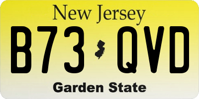 NJ license plate B73QVD
