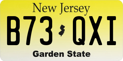 NJ license plate B73QXI