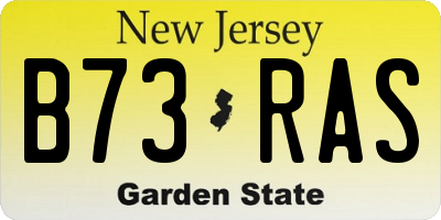NJ license plate B73RAS