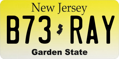NJ license plate B73RAY