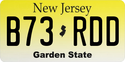 NJ license plate B73RDD