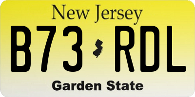 NJ license plate B73RDL