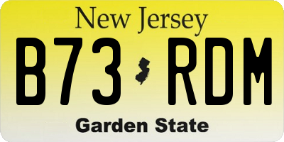 NJ license plate B73RDM