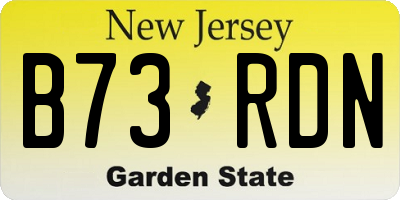 NJ license plate B73RDN