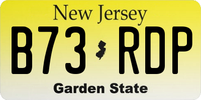 NJ license plate B73RDP