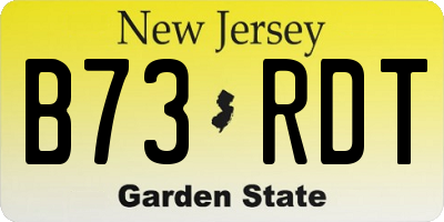 NJ license plate B73RDT