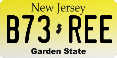 NJ license plate B73REE