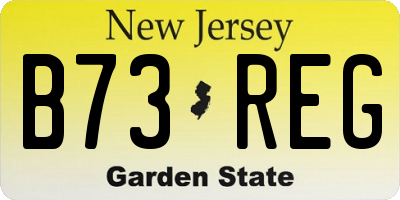 NJ license plate B73REG