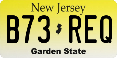 NJ license plate B73REQ