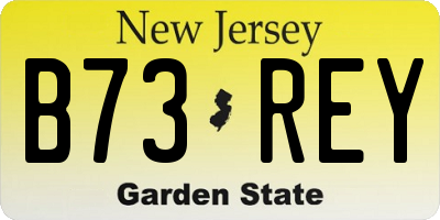 NJ license plate B73REY