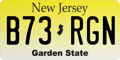 NJ license plate B73RGN