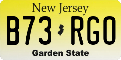 NJ license plate B73RGO