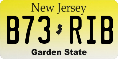 NJ license plate B73RIB