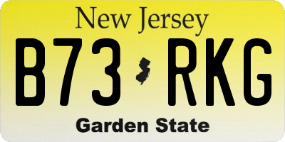 NJ license plate B73RKG