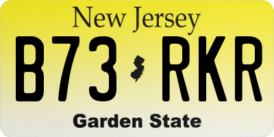 NJ license plate B73RKR