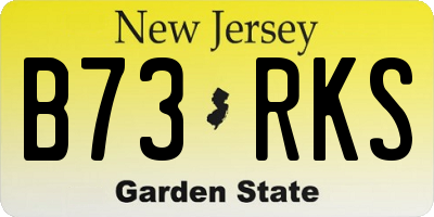 NJ license plate B73RKS