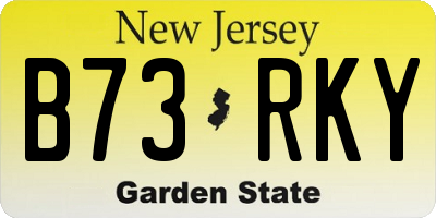 NJ license plate B73RKY