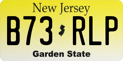 NJ license plate B73RLP
