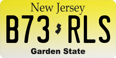 NJ license plate B73RLS