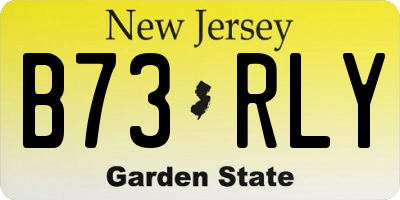 NJ license plate B73RLY