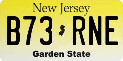 NJ license plate B73RNE