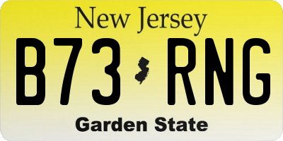 NJ license plate B73RNG