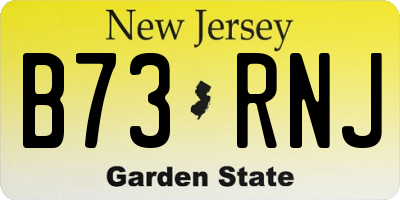 NJ license plate B73RNJ