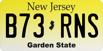 NJ license plate B73RNS