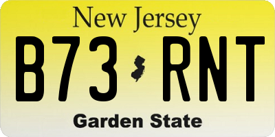 NJ license plate B73RNT