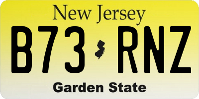 NJ license plate B73RNZ