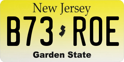 NJ license plate B73ROE