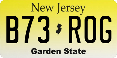 NJ license plate B73ROG
