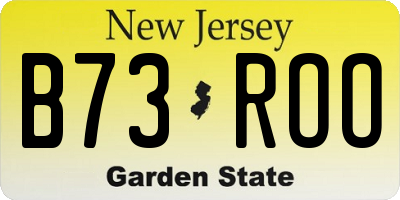 NJ license plate B73ROO